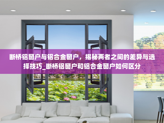 断桥铝窗户与铝合金窗户，揭秘两者之间的差异与选择技巧_断桥铝窗户和铝合金窗户如何区分